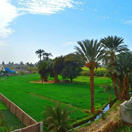 Farida Apartments Luxor Kültér fotó