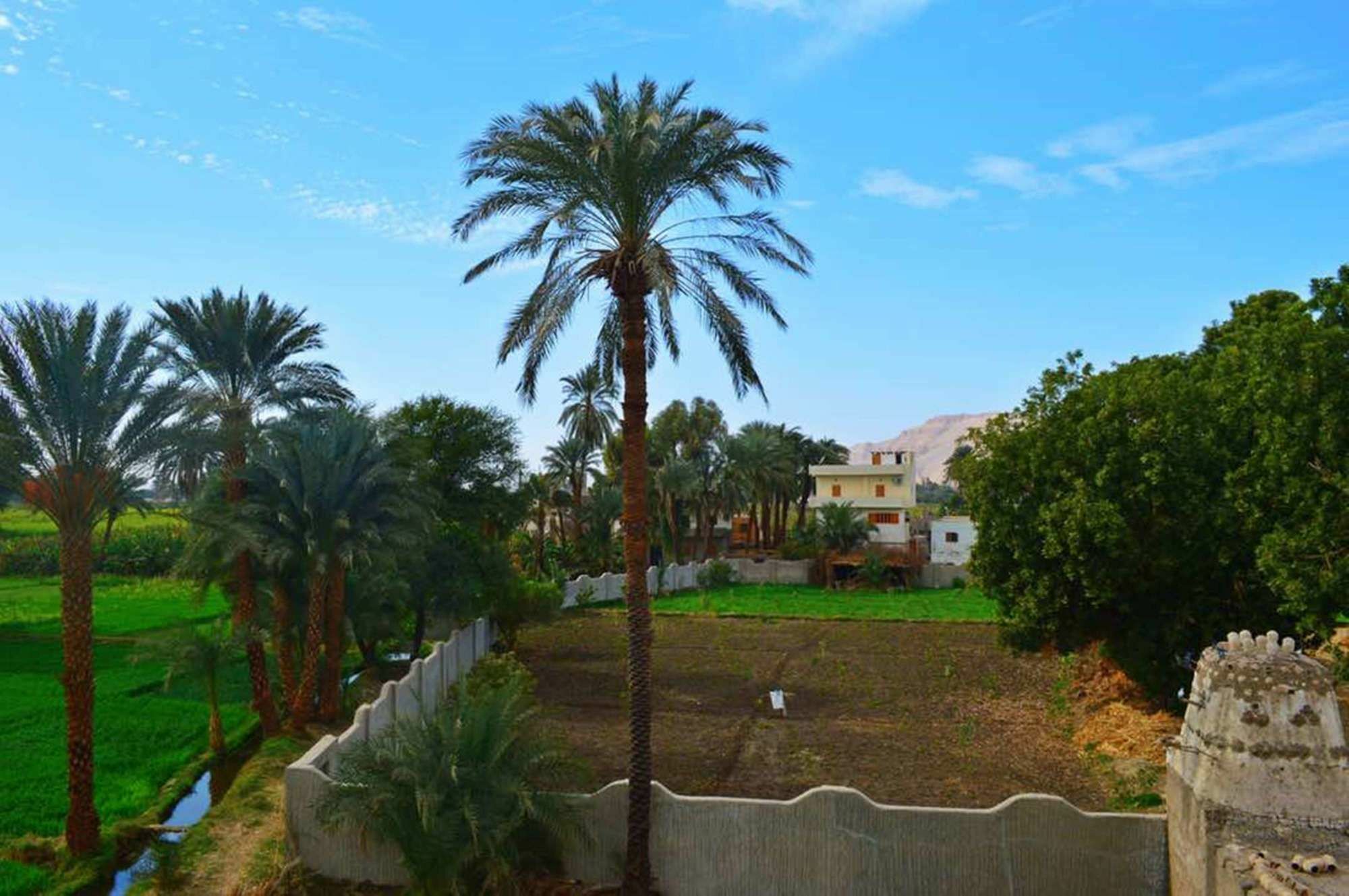 Farida Apartments Luxor Kültér fotó