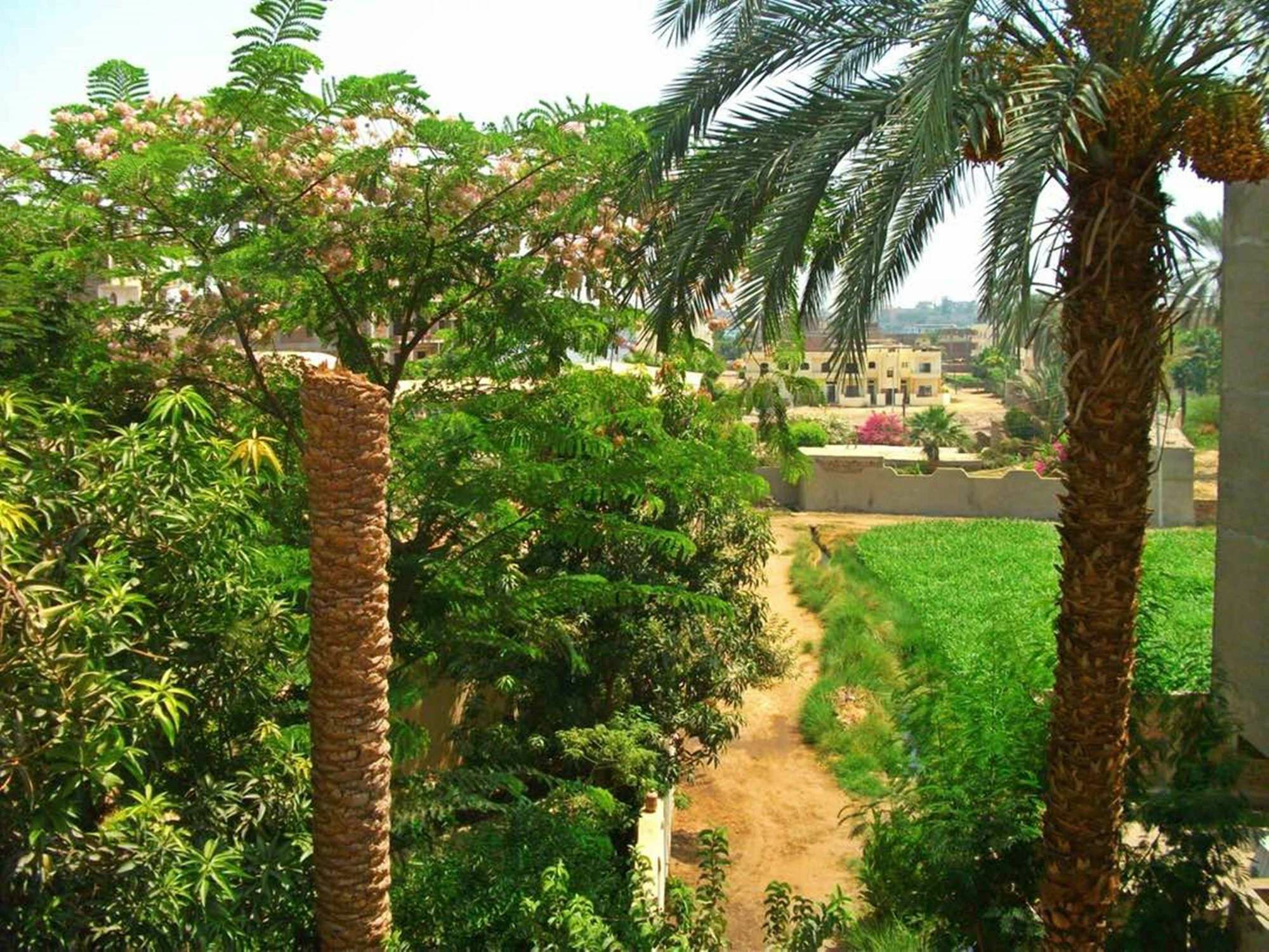 Farida Apartments Luxor Kültér fotó