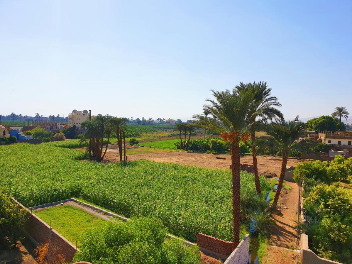 Farida Apartments Luxor Kültér fotó