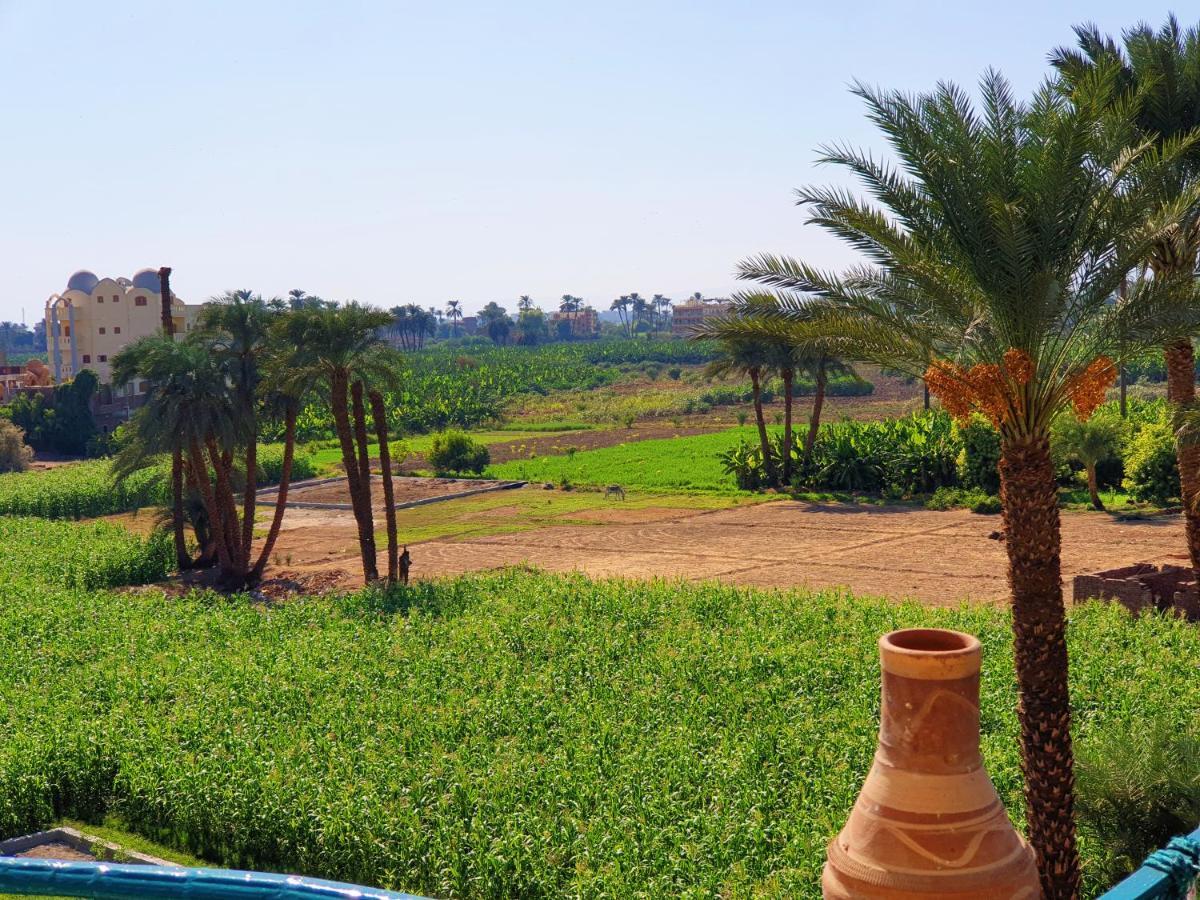 Farida Apartments Luxor Kültér fotó
