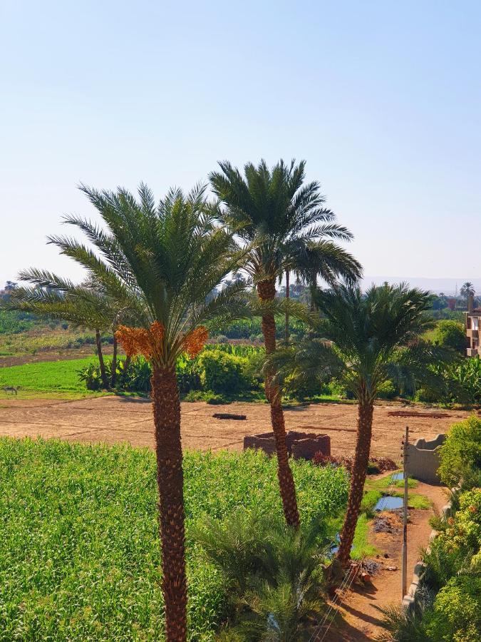 Farida Apartments Luxor Kültér fotó